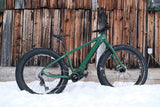 Moose eFat Bike 1