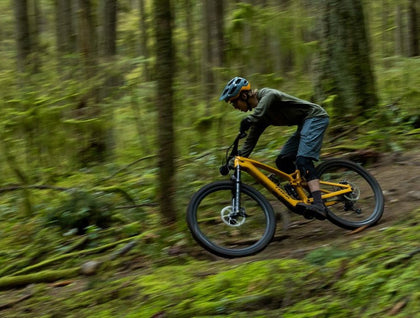 Electric Mountain Bikes