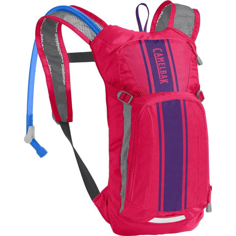 Camelbak Mini MULE 50oz Pink/Purple Stripe
