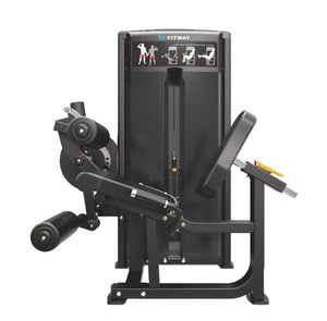 Fitwa Dual Leg Ext/ Curl  with 235lb Stack