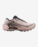 Salomon Genesis 2 GTX W's