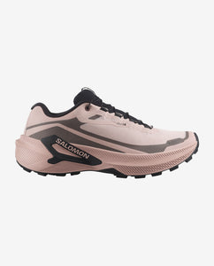 Salomon Genesis 2 GTX W's