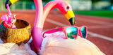Goodr Flamingos Booze Cruise