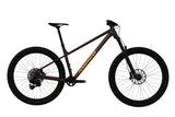 Norco Storm '25