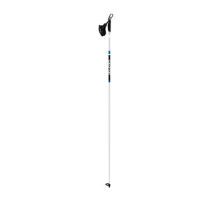 Salomon R20 Carbon Silver Pole