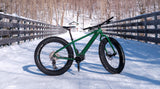 Moose eFat Bike 1