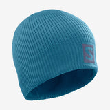 Salomon Logo Beanie