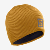 Salomon Logo Beanie