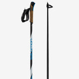 Salomon R 60 Click Ski Poles